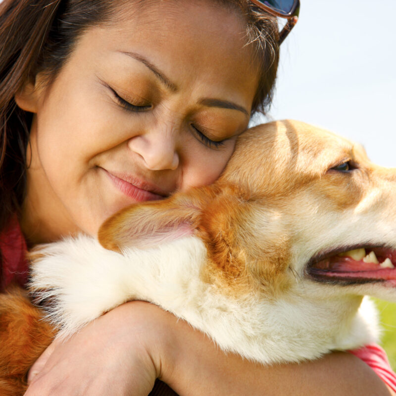 Person hugging dog