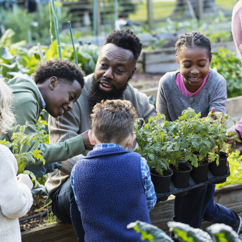 A mature African-American man teaching a group of five multiracial children how to grow vegetable plants in a community garden. He is holding a tray of potted plants, kneeling down so the girls and boys, 4 to 10 years old, can see them as he talks. The boy standing beside him is his son.