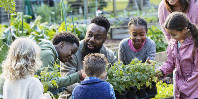 A mature African-American man teaching a group of five multiracial children how to grow vegetable plants in a community garden. He is holding a tray of potted plants, kneeling down so the girls and boys, 4 to 10 years old, can see them as he talks. The boy standing beside him is his son.